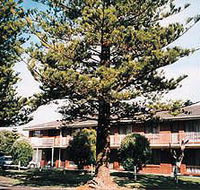 Eastern Beach Holiday Units - Hotel QLD