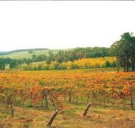 Byramgou Park - Hotel QLD