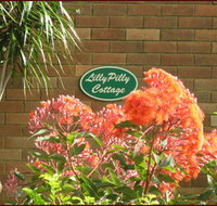Lillypilly - Hotel QLD