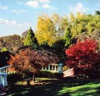 Edgelinks Bed And Breakfast - Hotel QLD