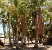 King Sound Resort Hotel