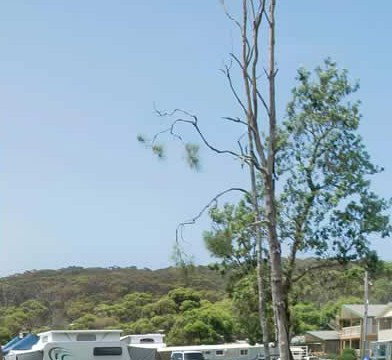 Merry Beach Caravan Park - Hotel QLD 2