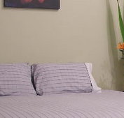 Stingo Hotel - Hotel QLD