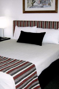 Cattle City Motor Inn - Hotel QLD 1