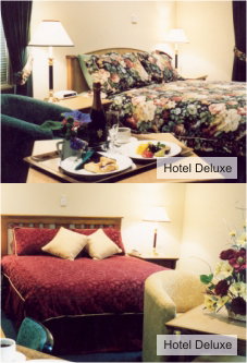  Hotel QLD