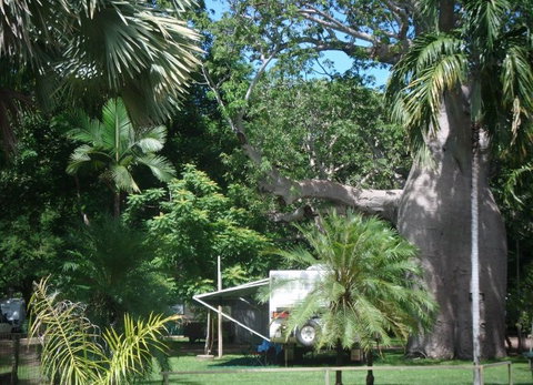 Kimberleyland Holiday Park - Hotel QLD 5