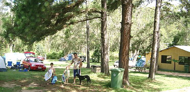 Glass House Mountains Holiday Village - Hotel QLD 2