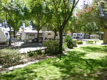 BIG 4 Barossa Tourist Park - Hotel QLD 1