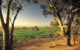 BIG 4 Barossa Tourist Park - thumb 5
