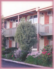  Hotel QLD