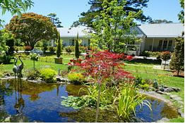  Hotel QLD