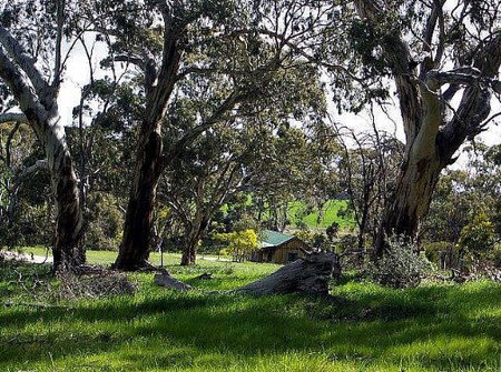 Wuthering Heights - Bronte Manor - Hotel QLD 3