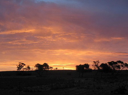 Willangi Bush Escapes - Hotel QLD 1