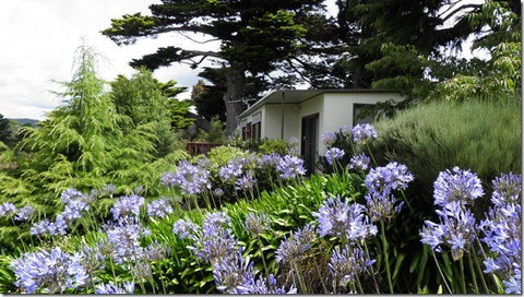 Tamar River Retreat - Hotel QLD 5