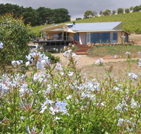 The Blue Grape Vineyard Accommodation - Hotel QLD