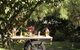 Norma's Place - thumb 5