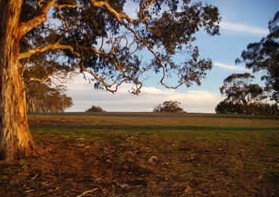 Mirrabooka Bed And Breakfast - Hotel QLD 1