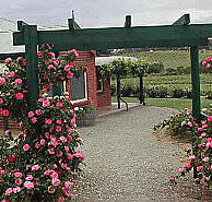 Limestone Hill - Hotel QLD