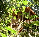 Rivers Edge Rainforest Retreat - Hotel QLD