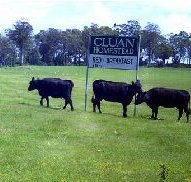 Cluan Homestead - The Managers Residence - Hotel QLD