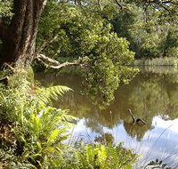 Weldborough Camping Ground - Hotel QLD