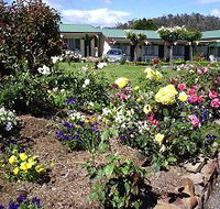 Wintersun Gardens Motel - Hotel QLD