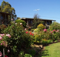 Mole Creek Holiday Village - Hotel QLD