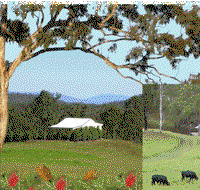 Barking Owl Retreat - Hotel QLD