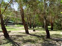 Hotel QLD