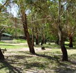 Woods Reserve - Hotel QLD