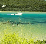 Wooli Camping and Caravan Park - Hotel QLD