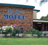 Fig Tree Motel - Hotel QLD