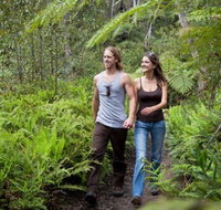 Blackheath Glen Tourist Park - Hotel QLD