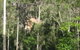 Cania Gorge Tourist Retreat - thumb 1