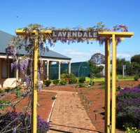 Lavendale Farmstay and Cottages - Hotel QLD