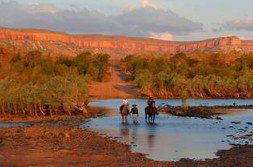 Home Valley Station - Hotel QLD 2