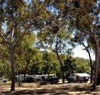 Barracrab Caravan Park - Hotel QLD