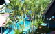 Bonapartes Serviced Apartments - thumb 0