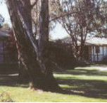 Winbi River Resort - Hotel QLD