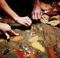 Daintree Eco Lodge And Spa