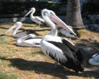 Christmas Cove Caravan Park - Hotel QLD 0