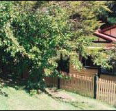 Apple Tree Cottage - Hotel QLD