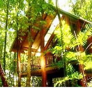 The Canopy Treehouses - Hotel QLD