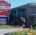 Strzelecki Motor Lodge - Hotel QLD
