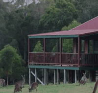 Walpole Wilderness Resort