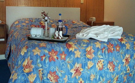 Bandicoot Motor Inn - Hotel QLD 2