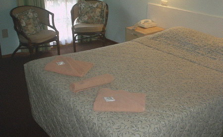 Bandicoot Motor Inn - Hotel QLD 4