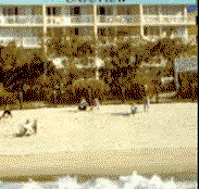 Capeview Apartments By The Sea - Hotel QLD