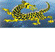 Dragon Phoenix Motel amp Restuarant - Hotel QLD