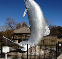 Snow Goose Hotel Motel - Hotel QLD